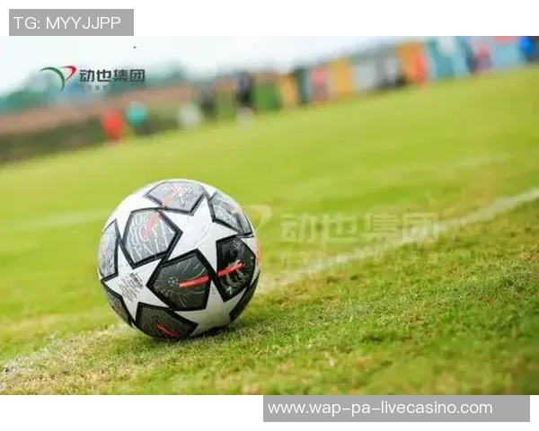 探索足球球品的魅力与价值提升运动员表现的秘密之道