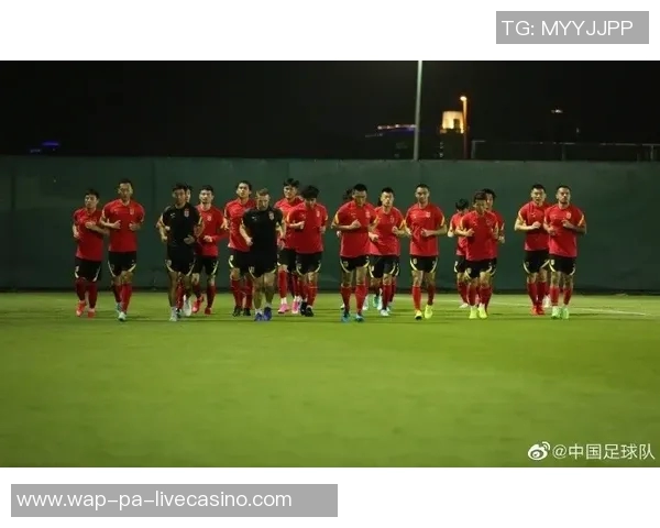 中国足球运动员最新名单解析与未来发展展望